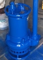 SUBMERSIBLE PUMPS